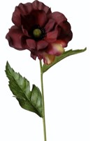 POPPY SPRAY BURGUNDY